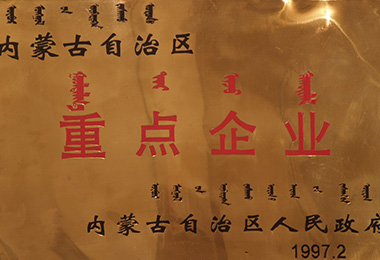 内蒙古豪利777官网集团有限公司
